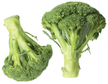Fresh Baby - Broccoli Image
