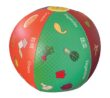 55004 MyPlate Toss Up Beach Ball Game - Vegetables and Grains 2