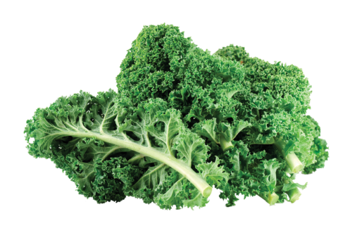 Fresh Baby - Kale Image
